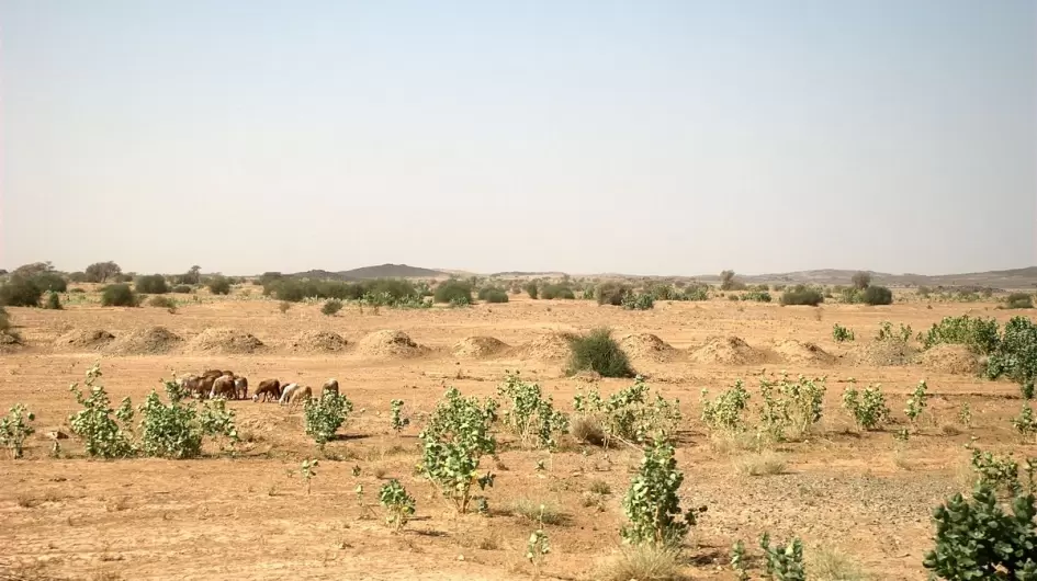 بيع الأراضي في الخرطوم