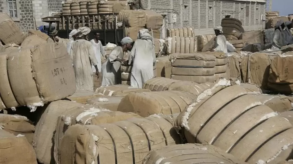 القطن في السودان