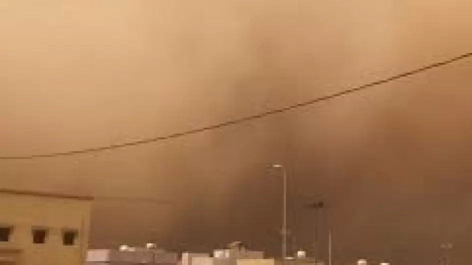 تنزيل (9).jpeg