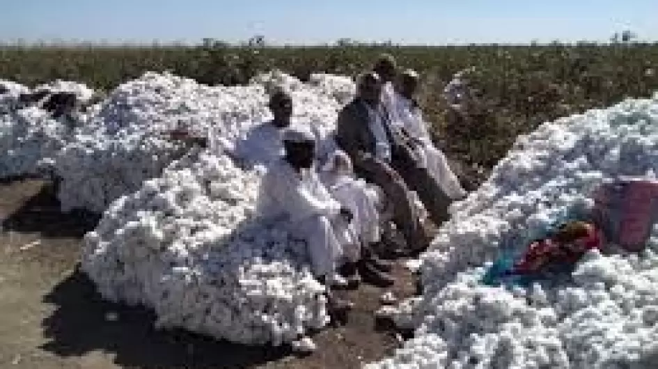 مشروع الفاو