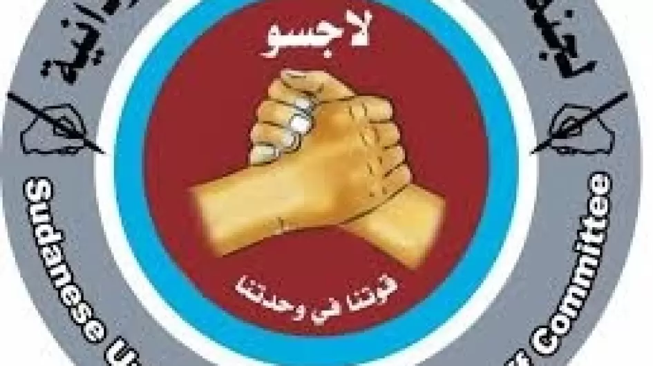 لجنة أساتذة الجامعات