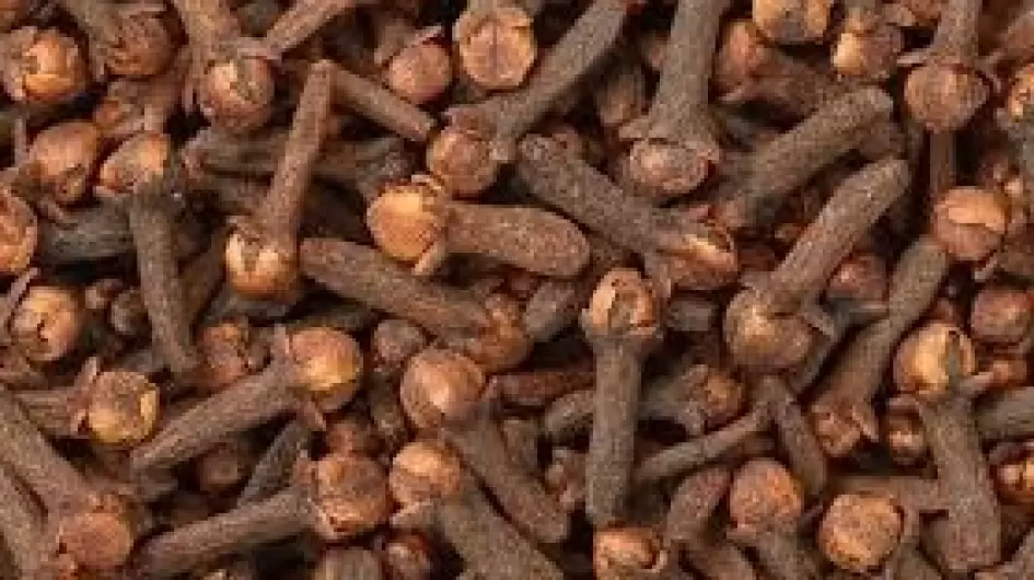 نبات القرنفل
