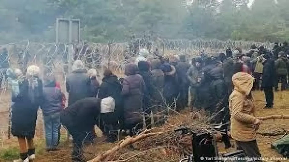 مهاحرين بغابات بلاروسيا