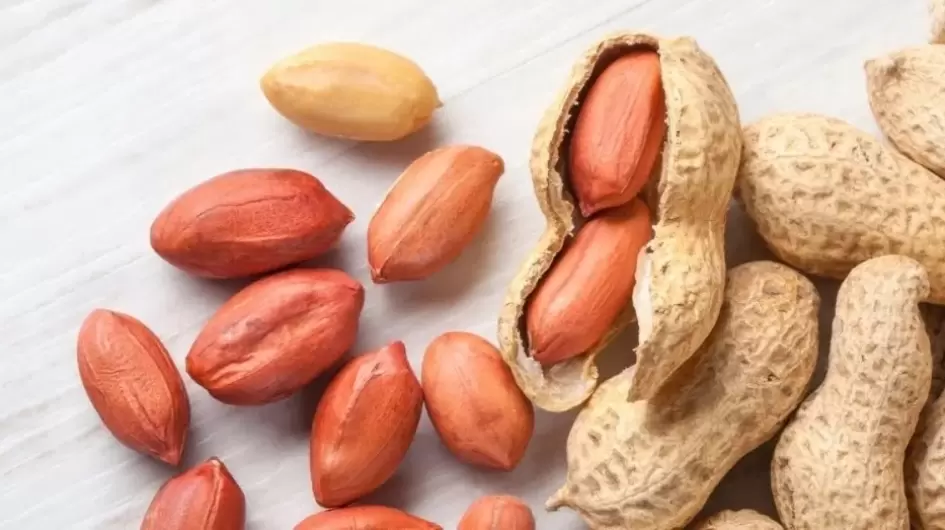 الفول السوداني