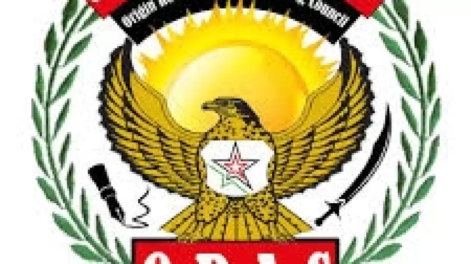 مجلس الصحوة الثوري