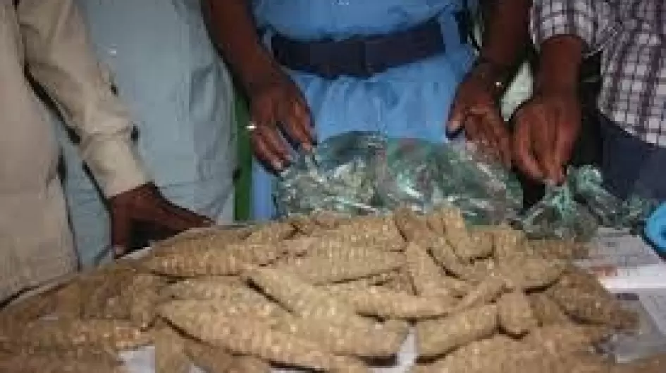 مكافحة المخدرات