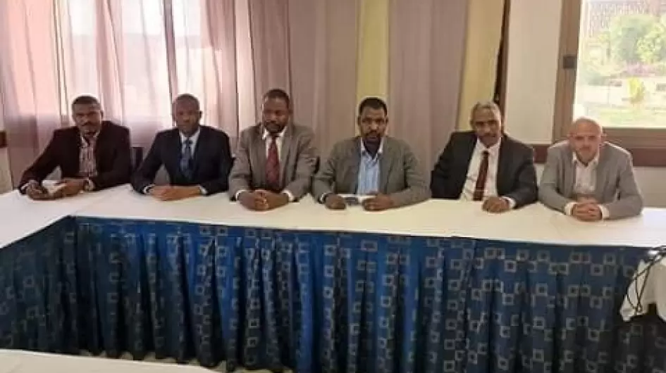 فصائل دارفور
