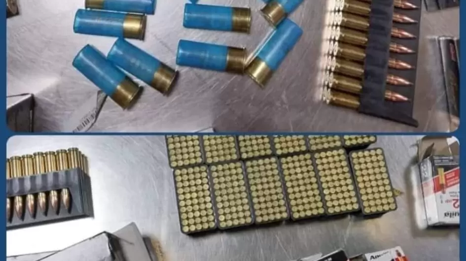 المعروضات