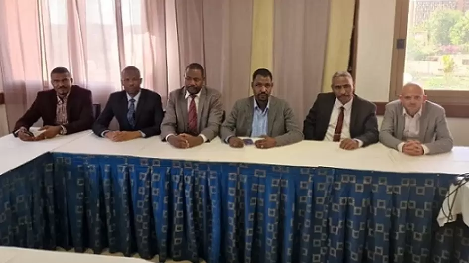 حركات دارفورية