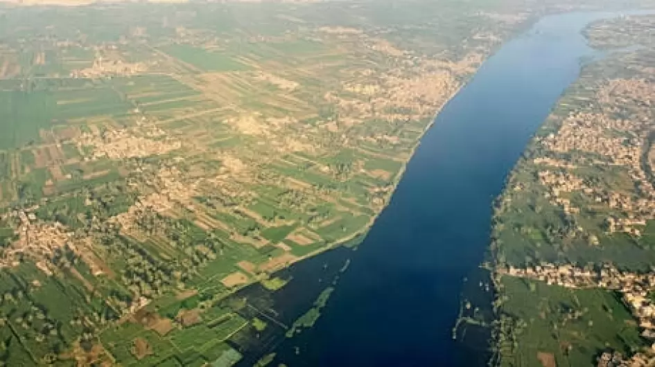 الزراعة فى مصر