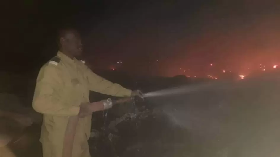 محالج كوستي