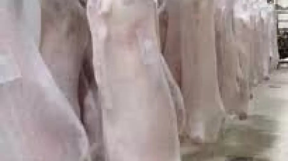 لحوم سودانية