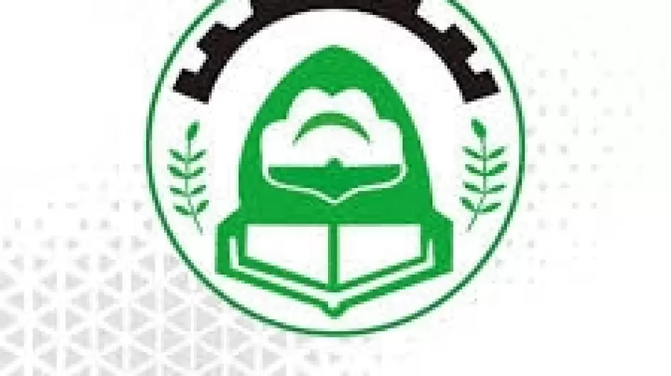 ولاية الجزيرة