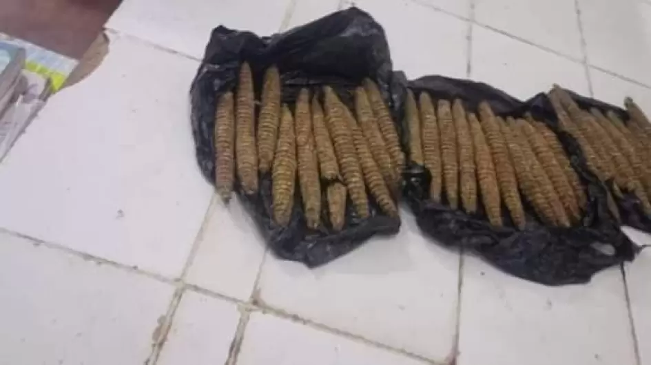 ضبط مخدرات ابوحمد