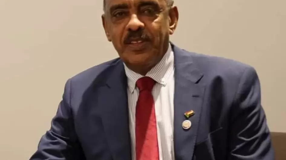 وزير الخارجية السوداني علي الصادق