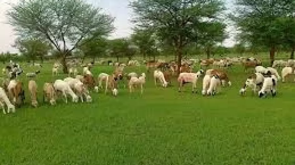 صورة تعبيرية