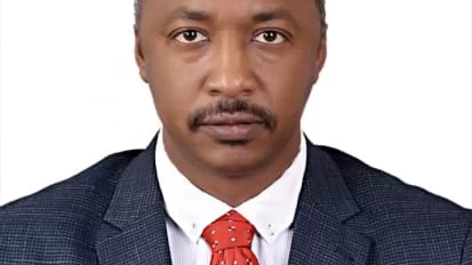 د. تجاني محمد حسن